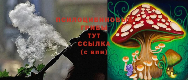 таблы Лиски