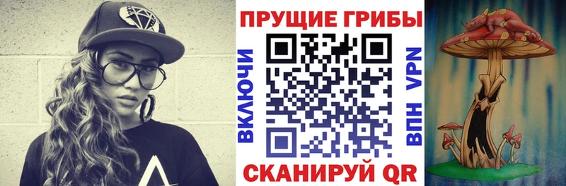 Купить где  Аркадак  Псилоцибиновые грибы мухоморы 